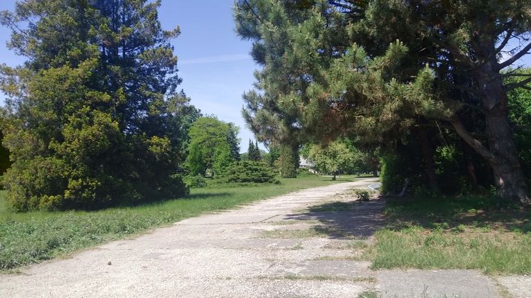 a06.jpg