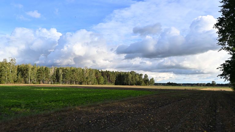 a05.jpg