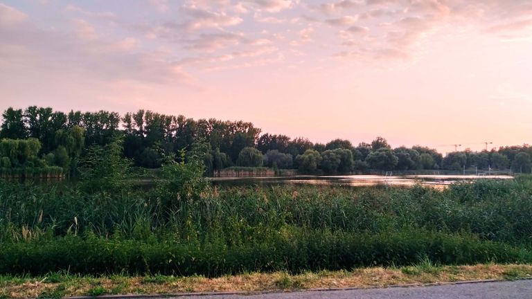 a12.jpg