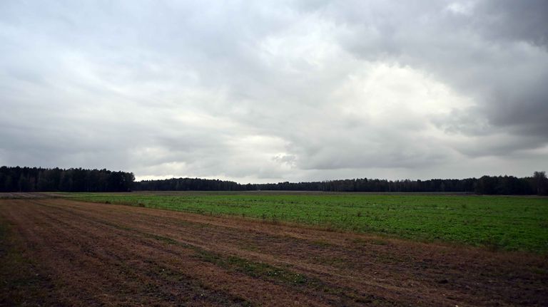 a02.jpg