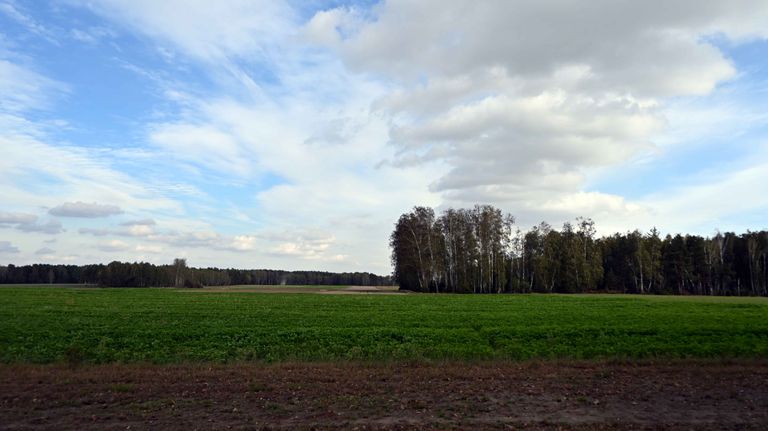 a00.jpg