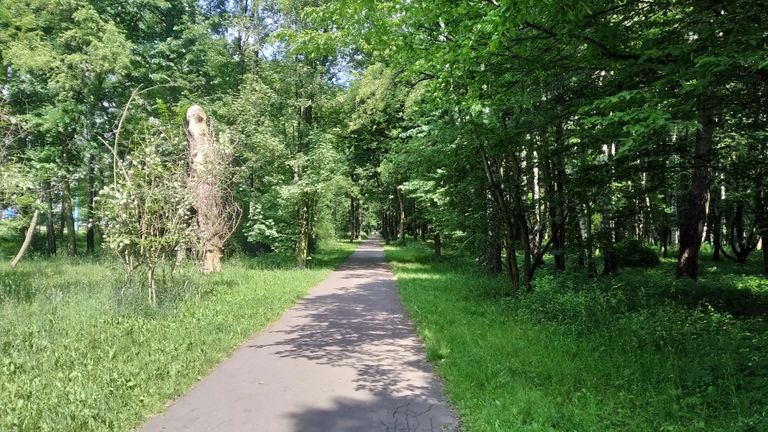 a05.jpg