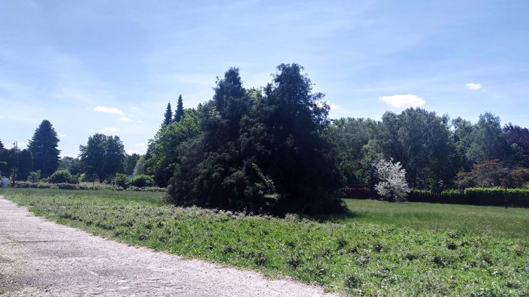 a07.jpg