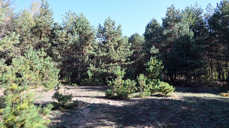 ac09.jpg