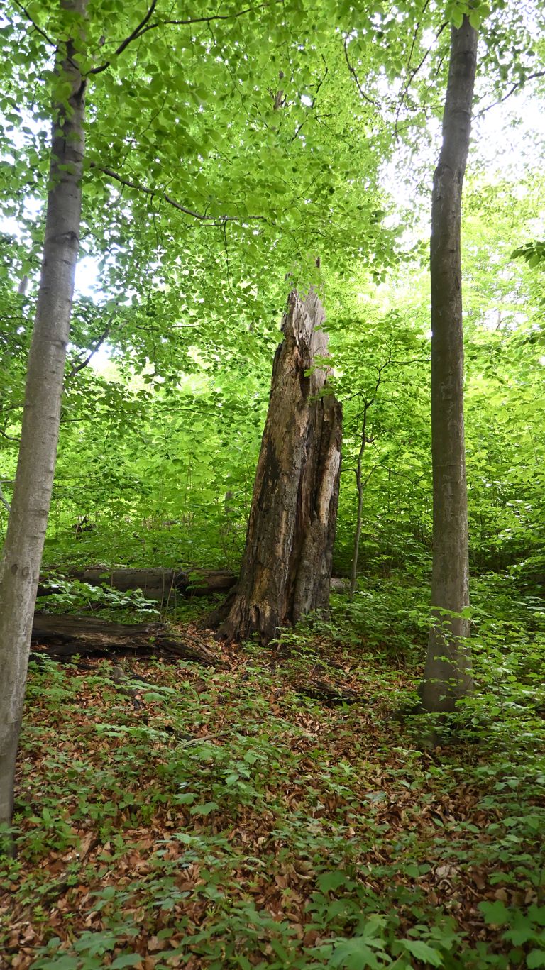 pho_3784.jpg