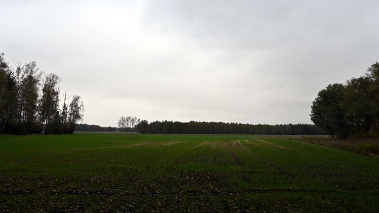 a03.jpg