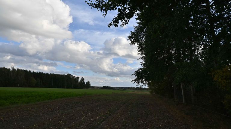 a09.jpg