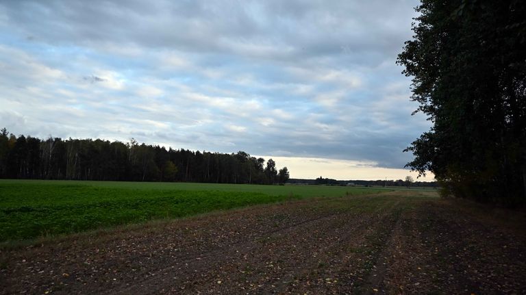 a01.jpg