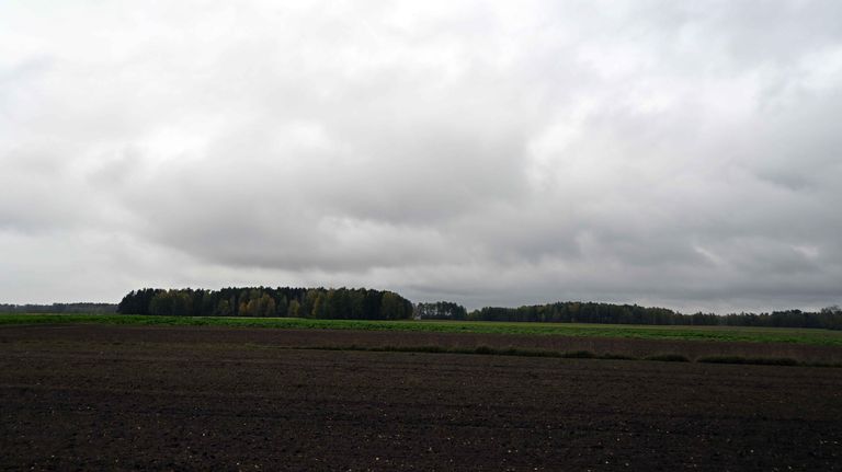 a02.jpg