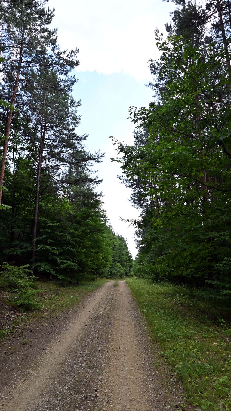 a03a.jpg