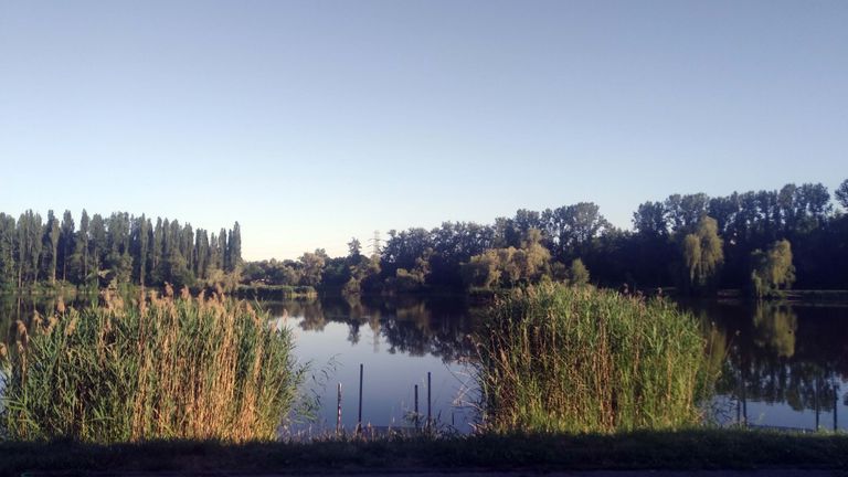 a02.jpg