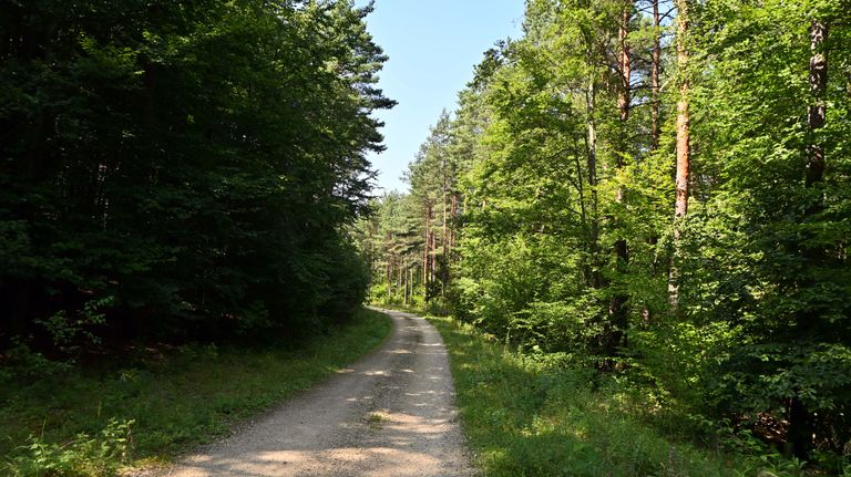 a09.jpg