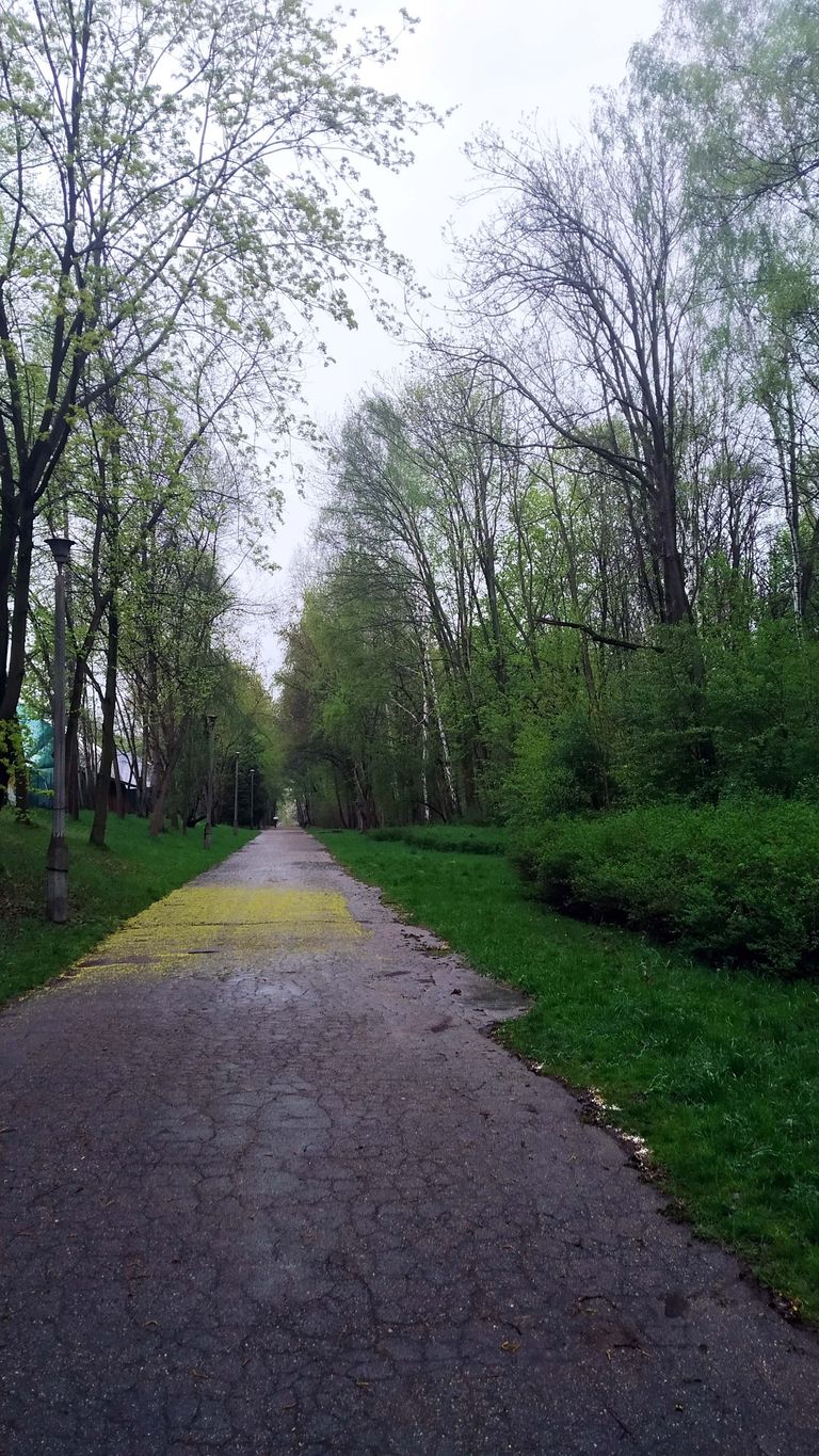 a04.jpg