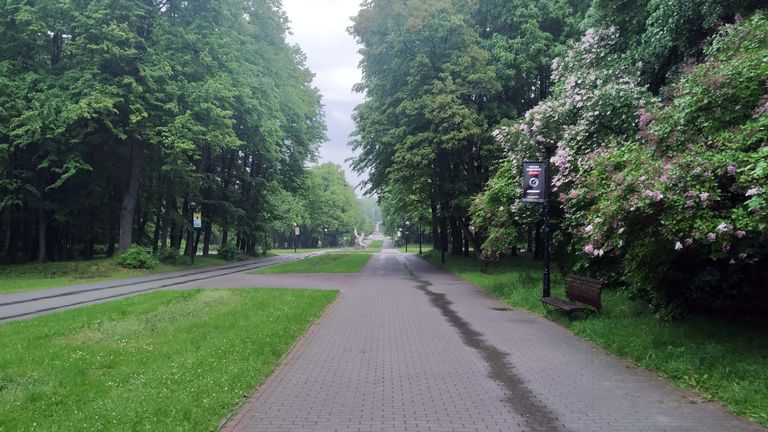 a06.jpg