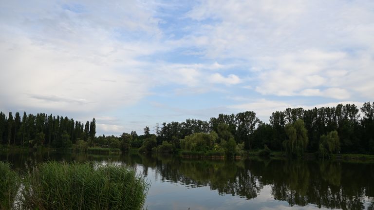 dsc_0123.jpg