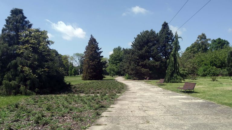 a04.jpg