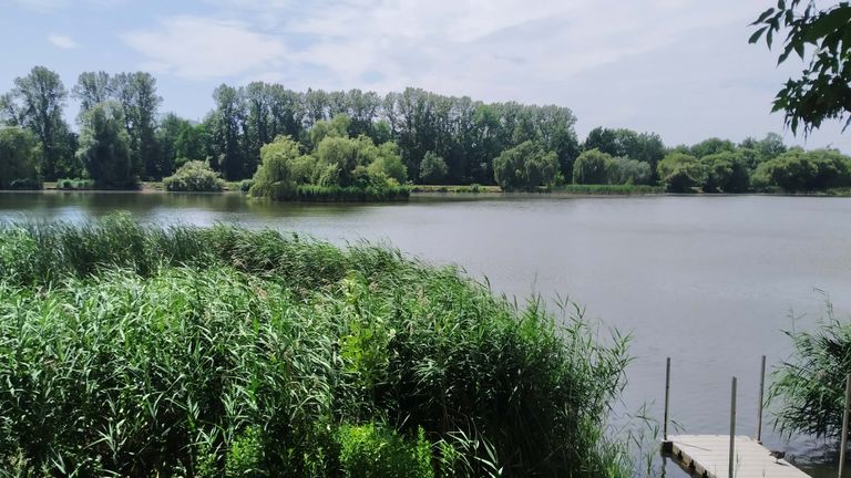 a07.jpg