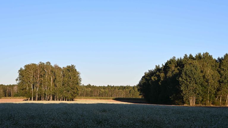 aa03.jpg