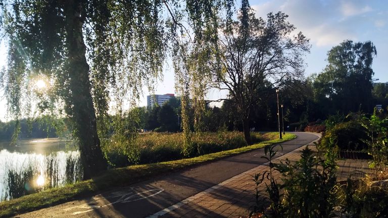 a29.jpg