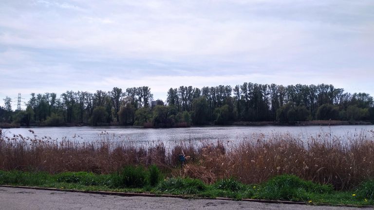 a01.jpg
