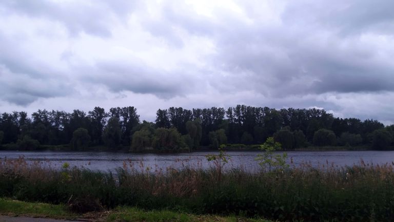 a01.jpg
