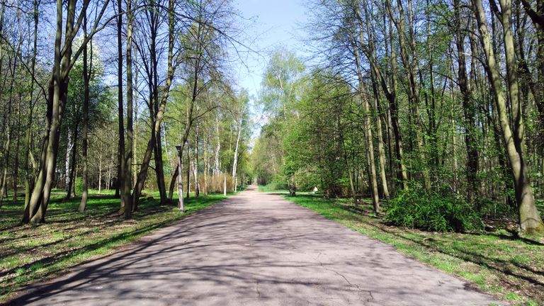 a13.jpg