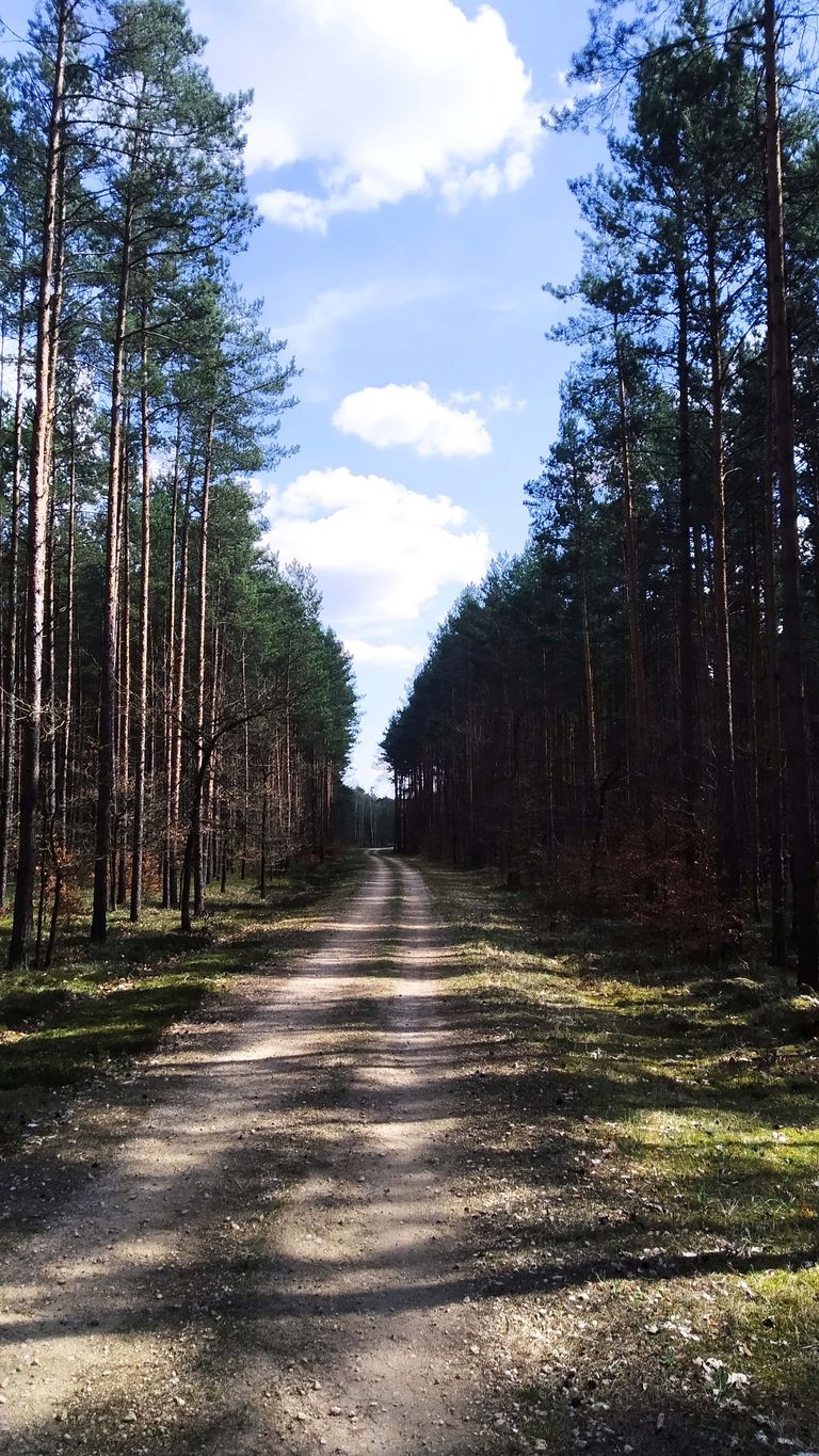 a02a.jpg