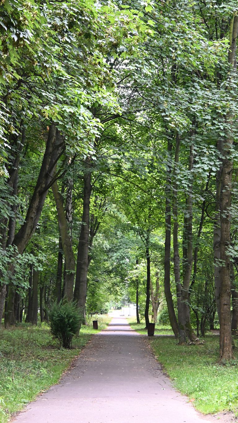 dsc_0049.jpg