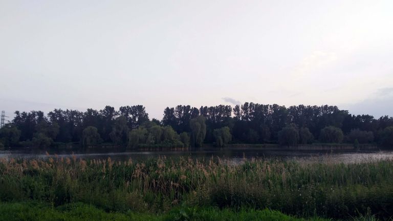 a01.jpg