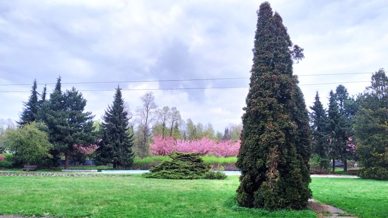 a03.jpg