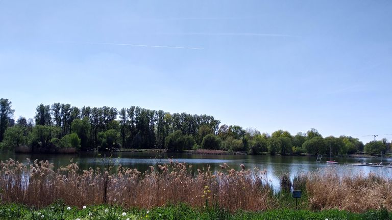 a06.jpg