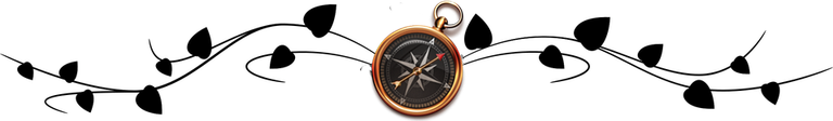 ornament_travel2.png