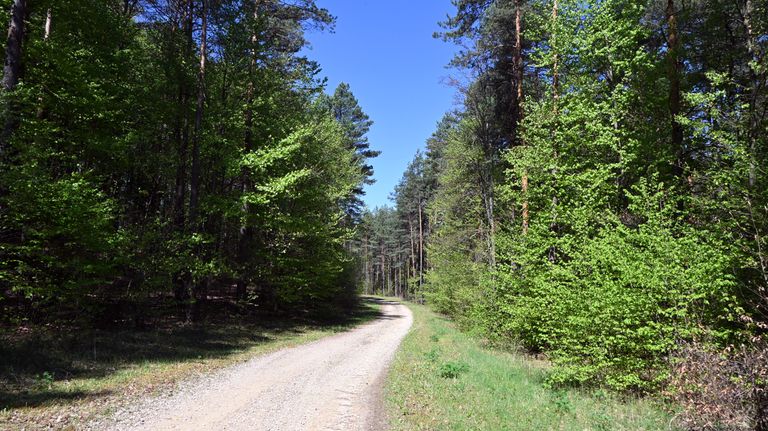 a04.jpg