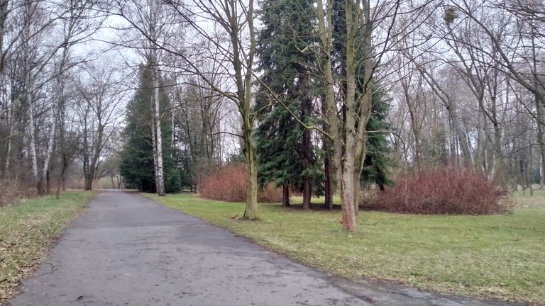 a02.jpg