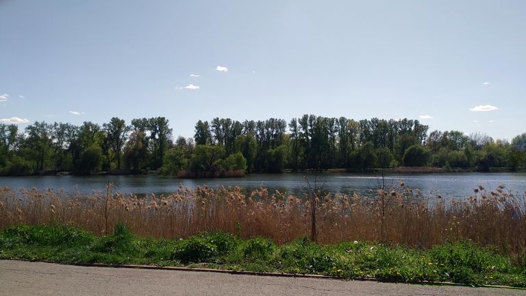 a03.jpg