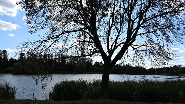 pho_1556.jpg