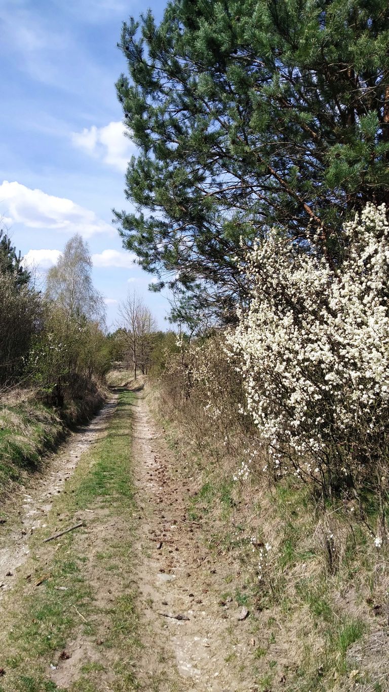 a01.jpg