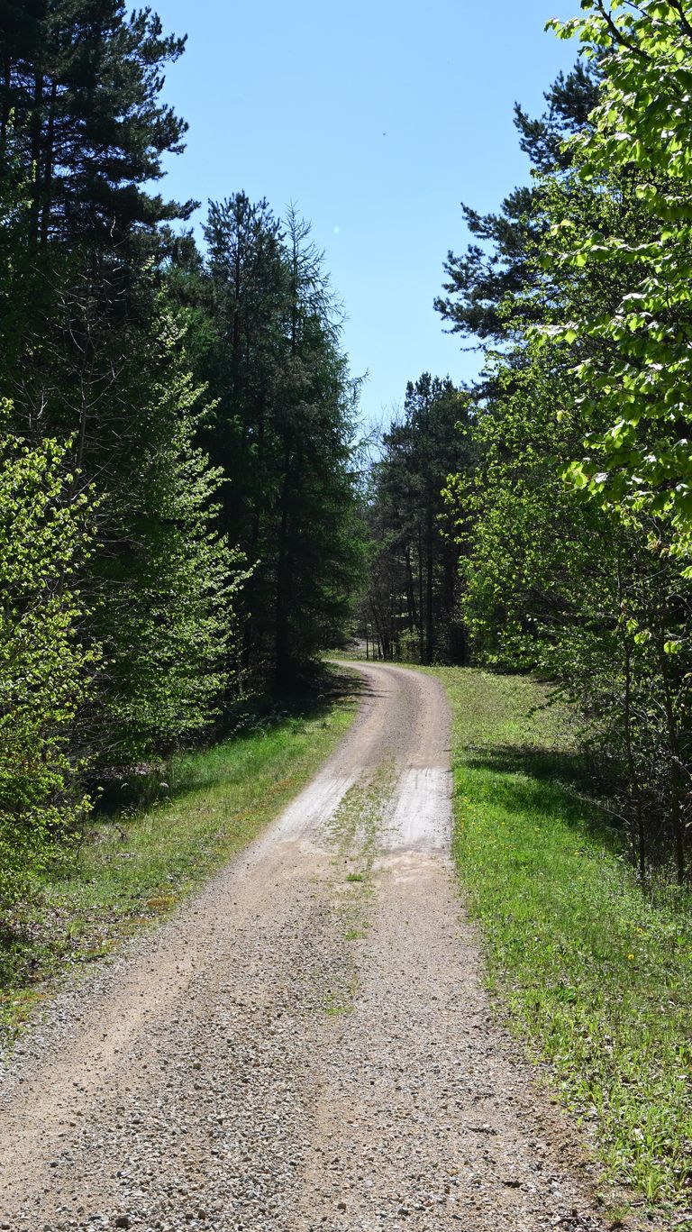 a19.jpg