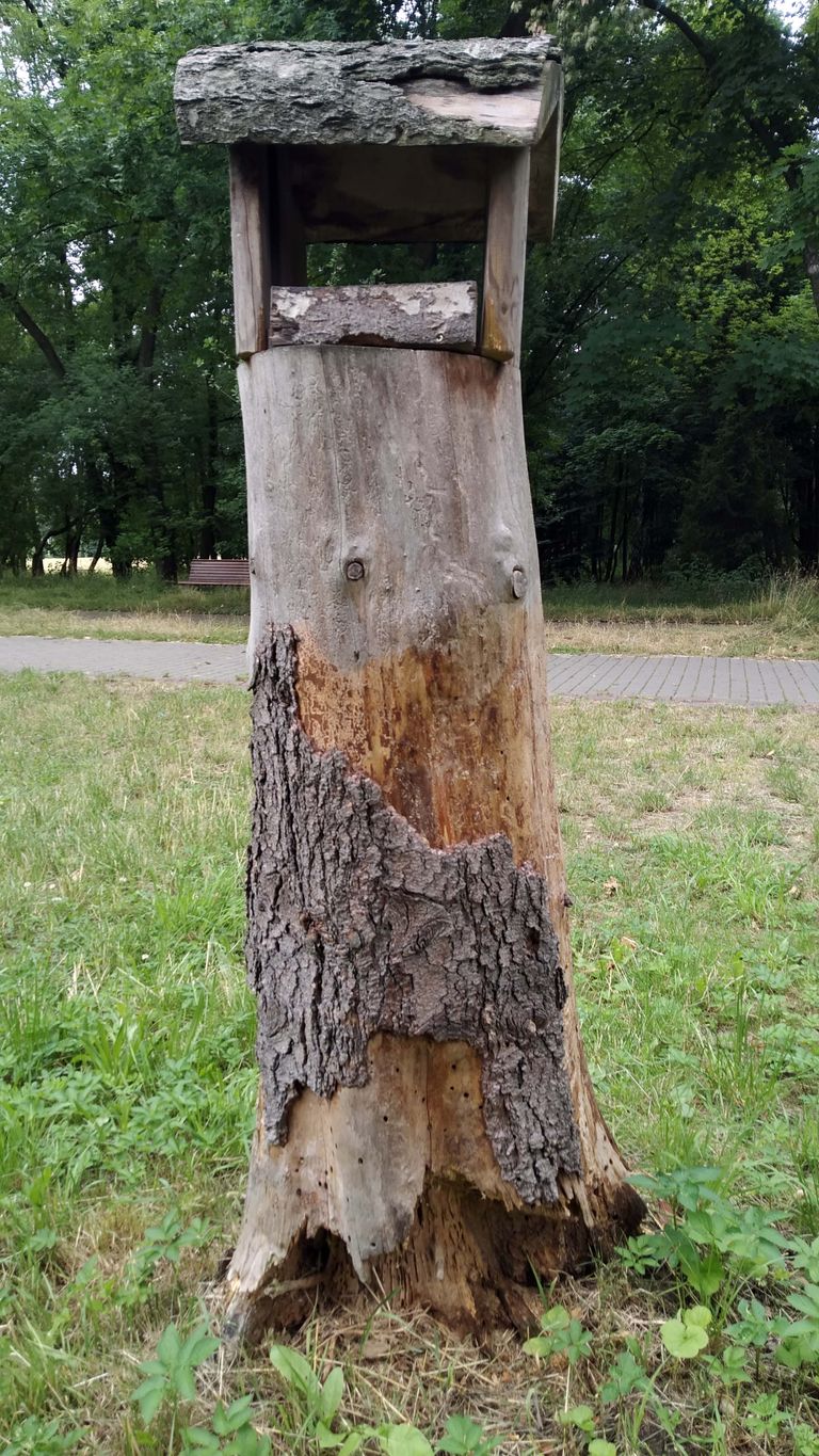 ac09a.jpg