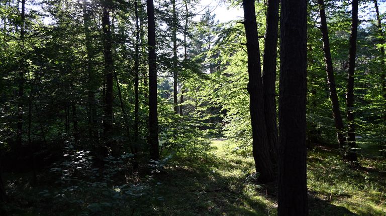 aj03.jpg