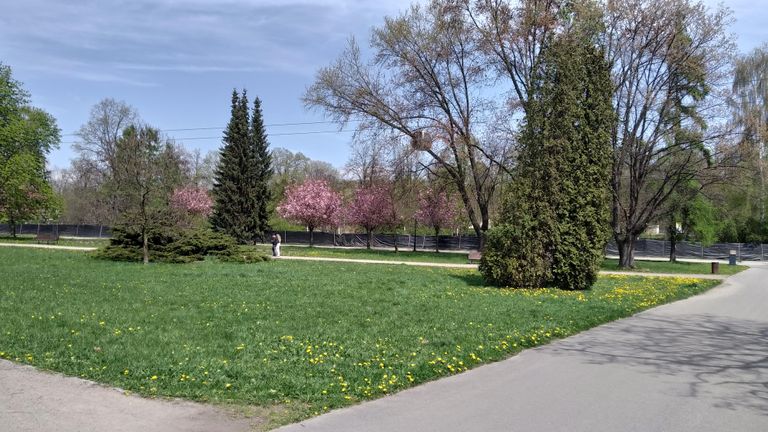 a00.jpg