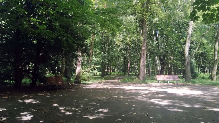 a07.jpg