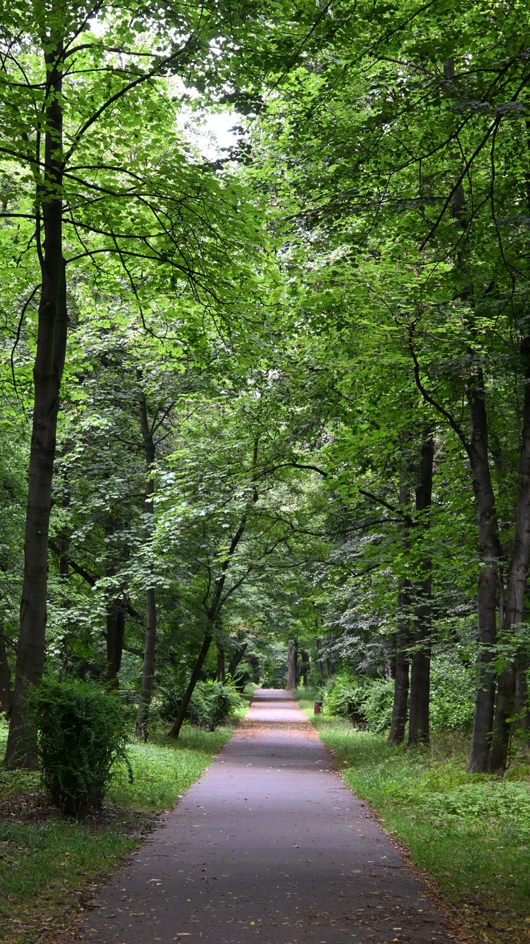 dsc_0050.jpg