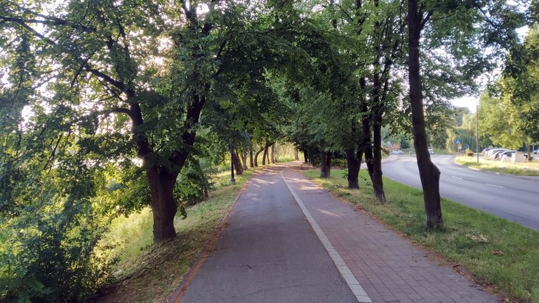 a03.jpg
