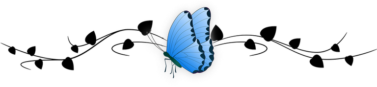 motyl_copy.png