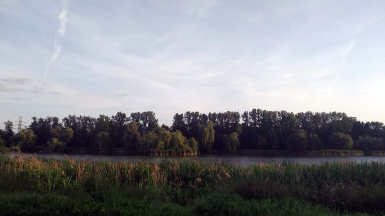 a01.jpg
