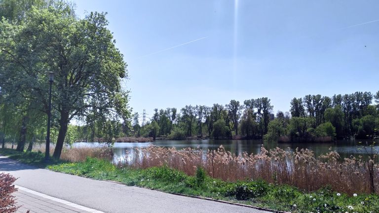 a05.jpg