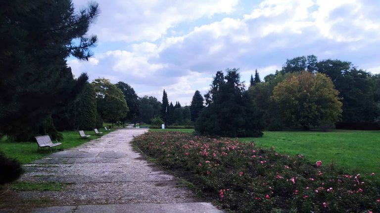 a11.jpg