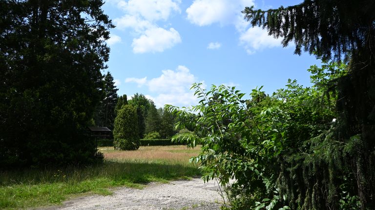 dsc_0070.jpg