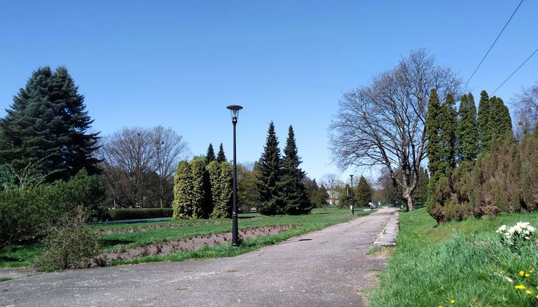 a06.jpg